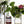 Load image into Gallery viewer, The Heritage Bee Company - Cinnamon Creamed Honey - 300g

